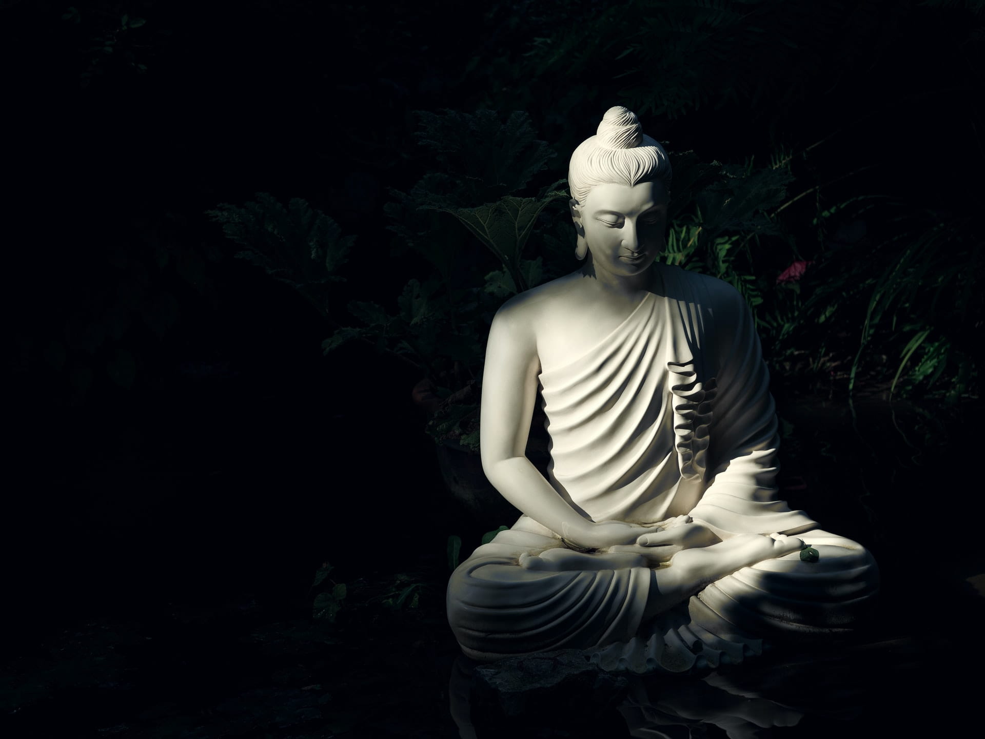 Experiencing meditation in the land of the Buddha