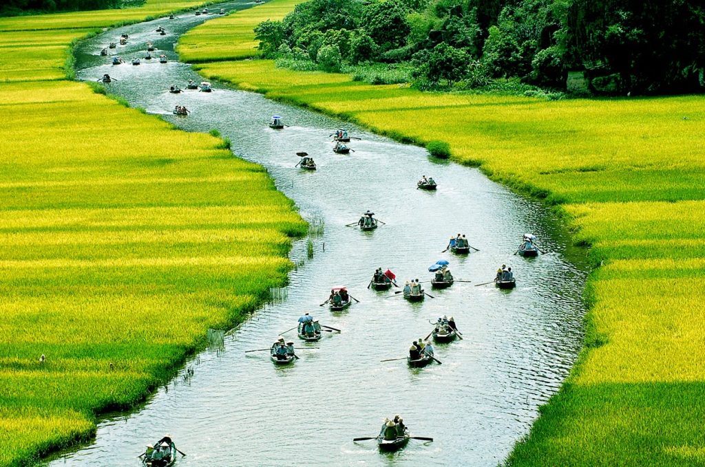 Vì sao bạn là người Việt Nam?